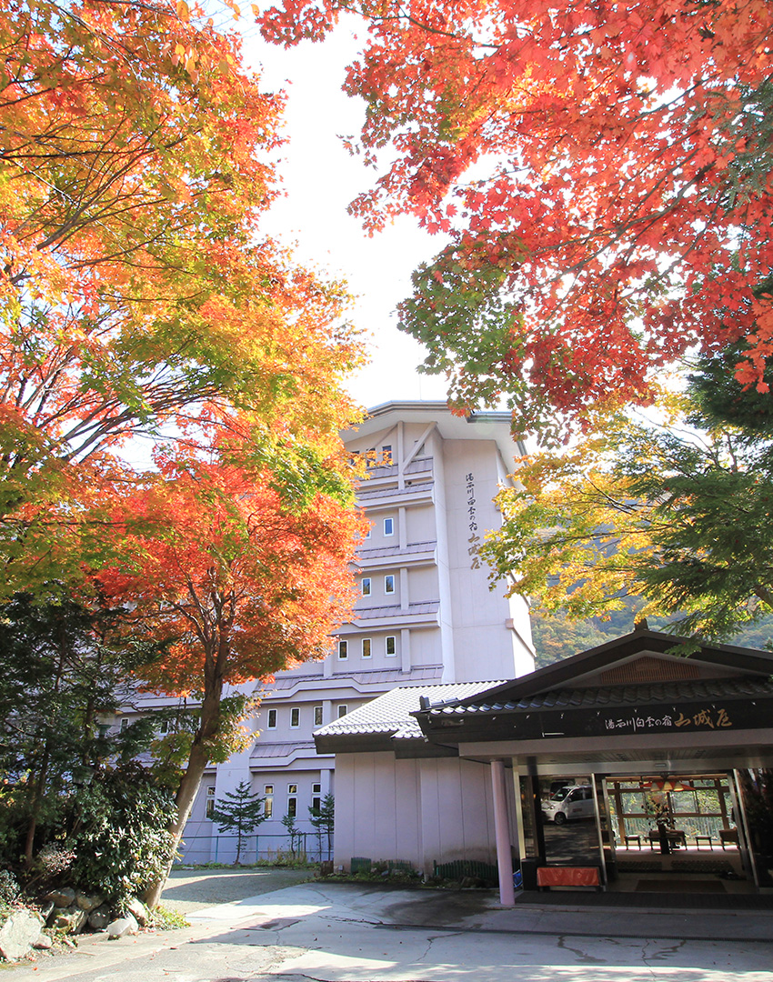 山城屋イメージ