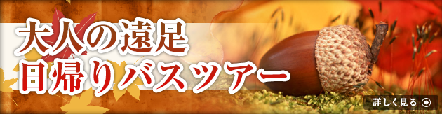 「大人の遠足日帰りバスツアー」
