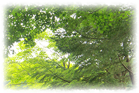 リラクゼーションルーム