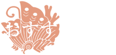 おすすめ料理
