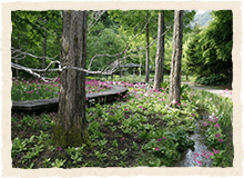 上三依水生植物園